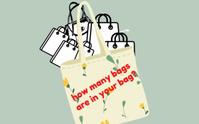 A Bag in a Bag…….