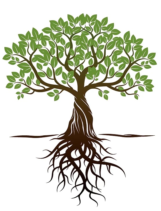 Tanglewood Life Coach Logo
