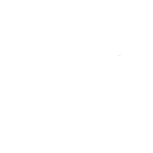 The Chick Logo